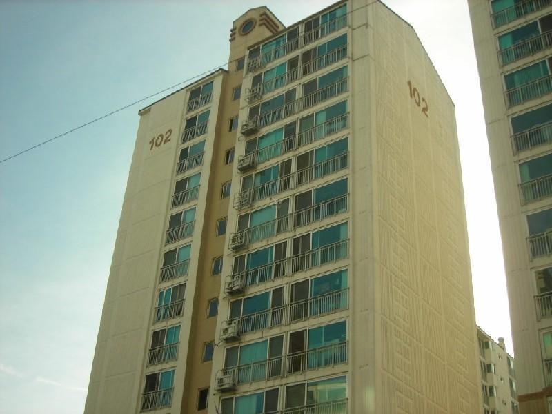 DSCN5392