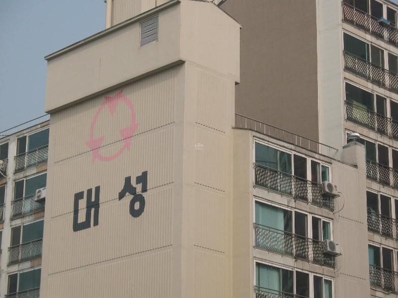 사진 313