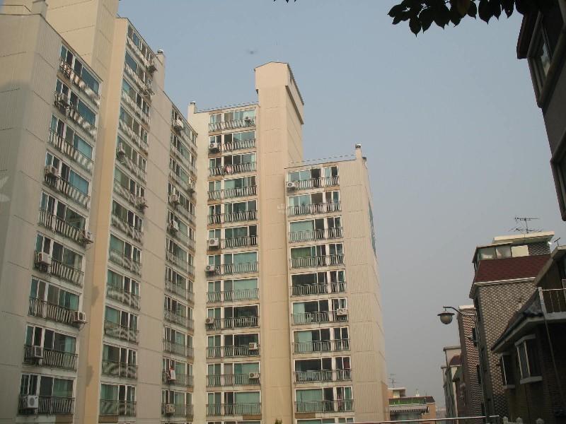 사진 328