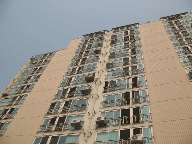 사진 335