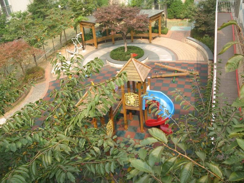 사진 338