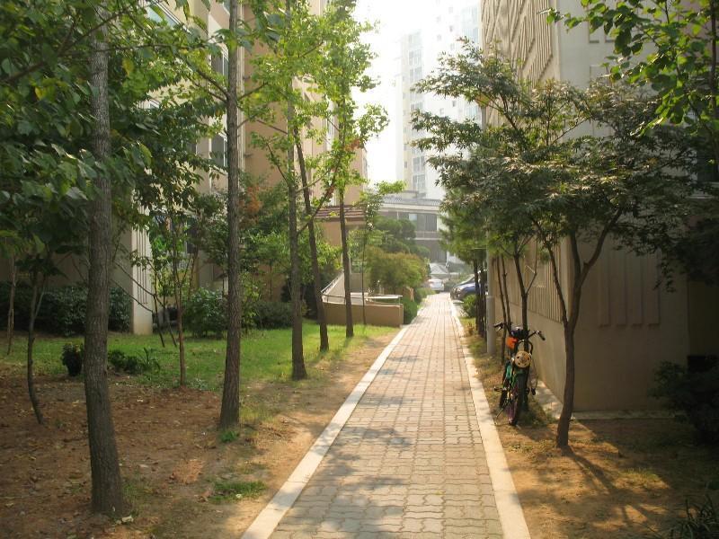 사진 558