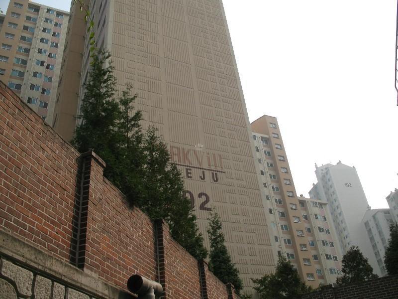 사진 552
