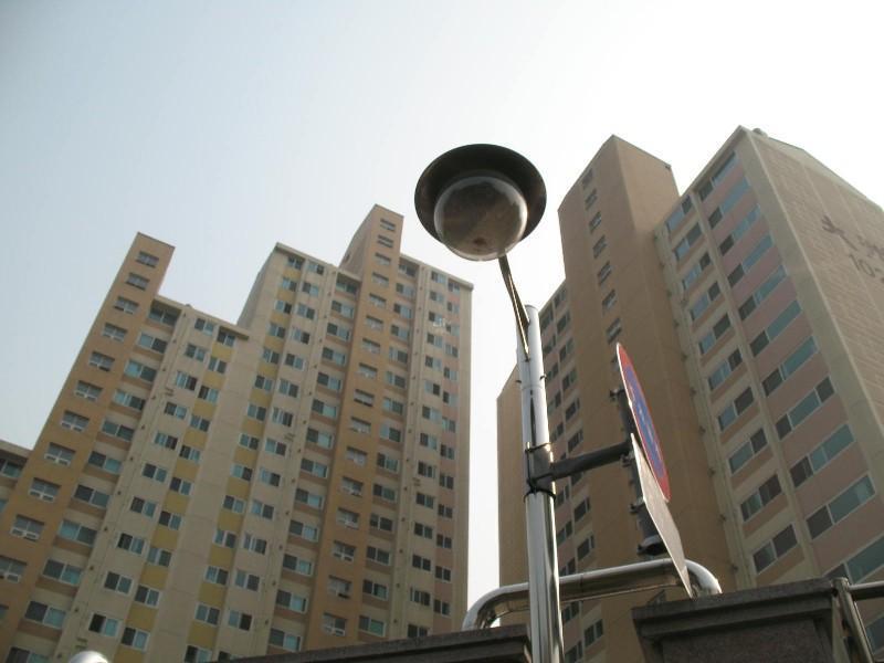 사진 555
