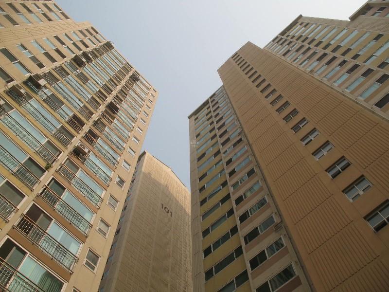 사진 561