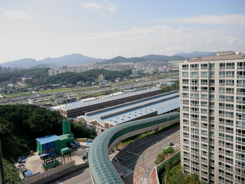 조망