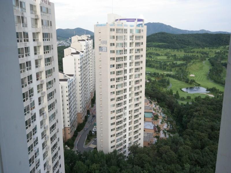 조망