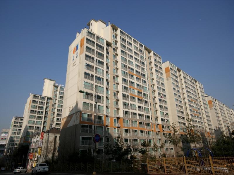 803동