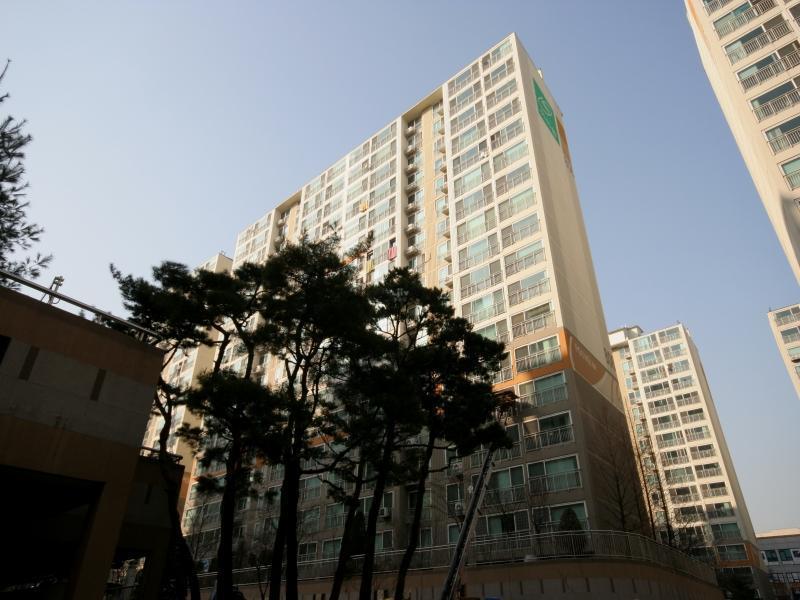 806동