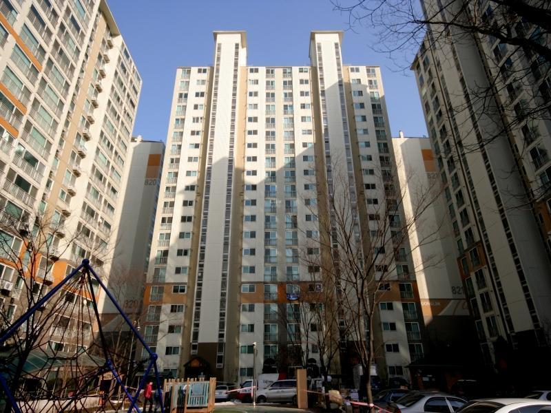 817동