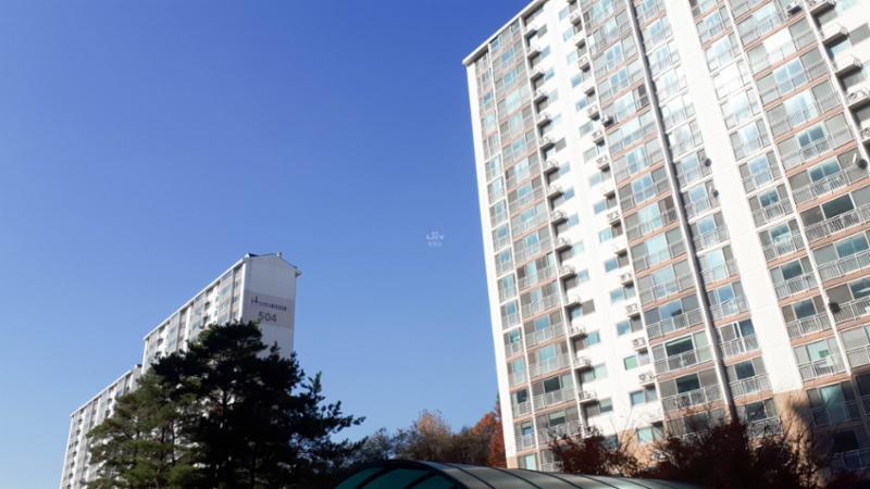 안화동마을주공5단지  아파트 전경이에요