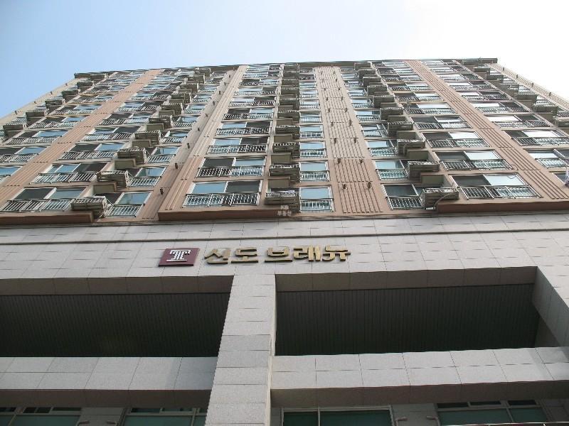 사진 336