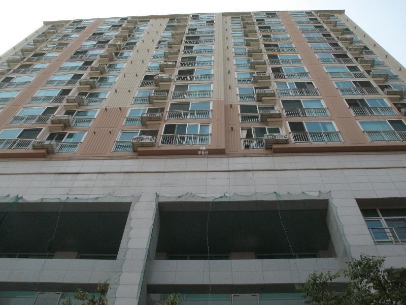 사진 416