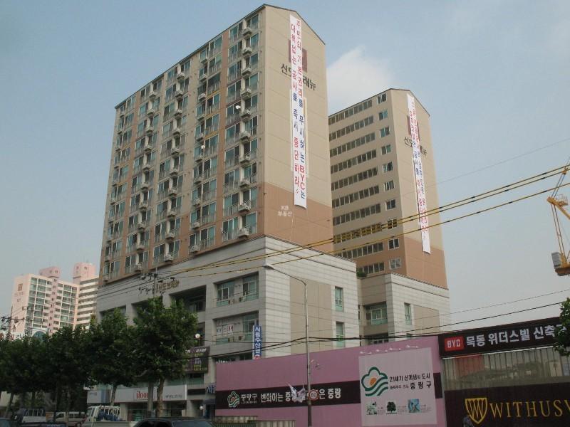 사진 334