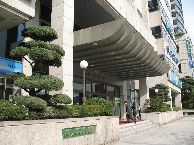 사진 259