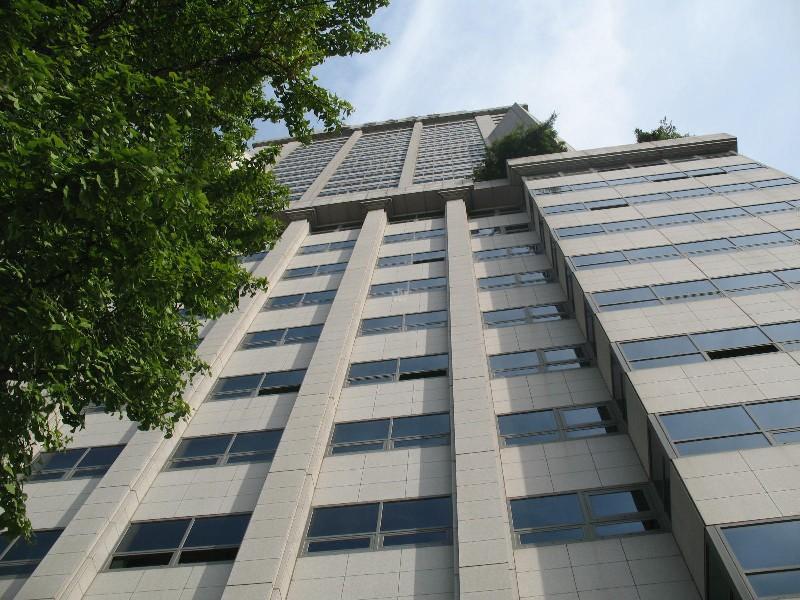사진 264