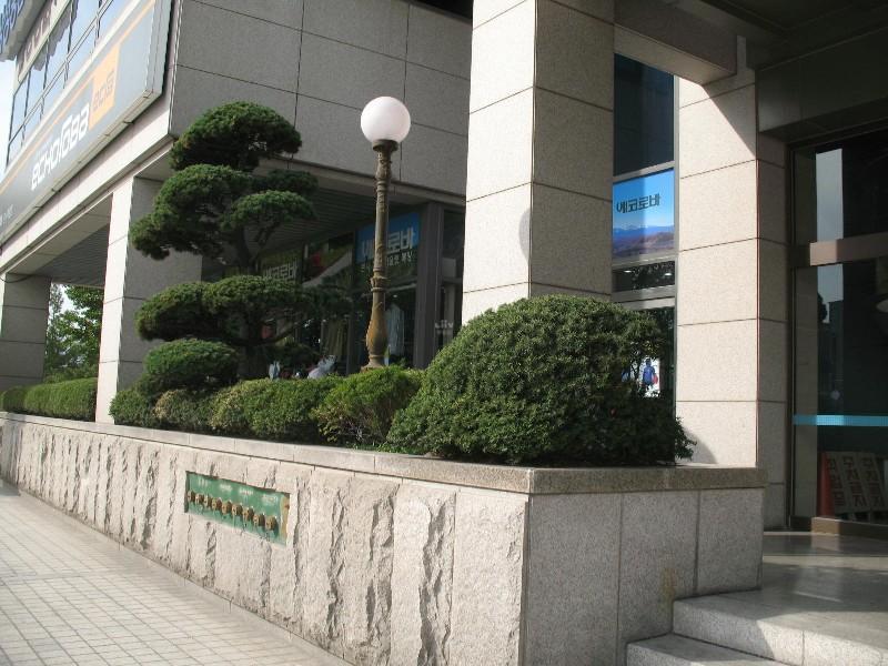 사진 258