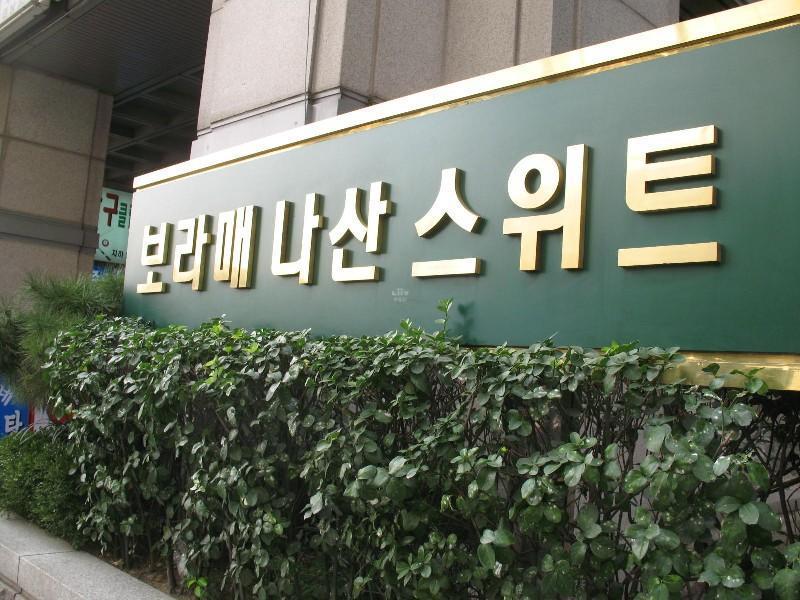 사진 245