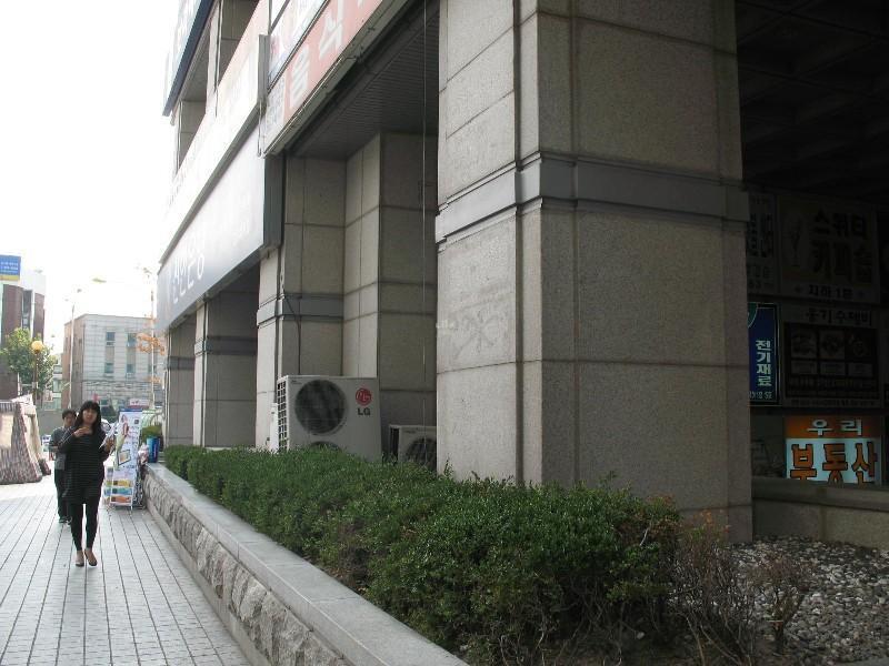 사진 246