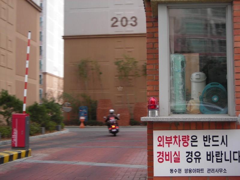 DSCN8667