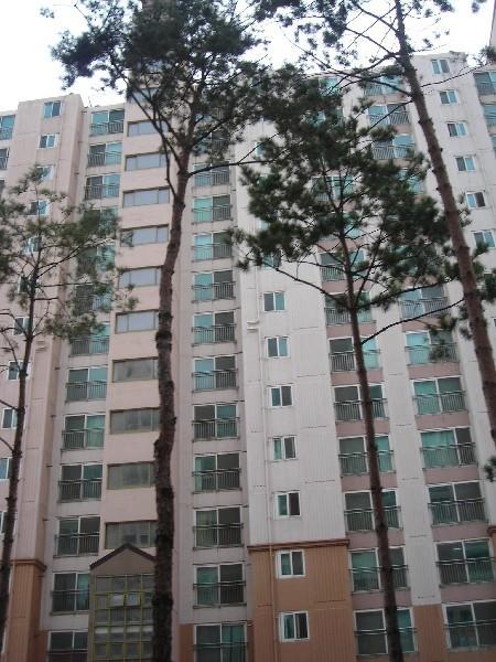 DSCN8671