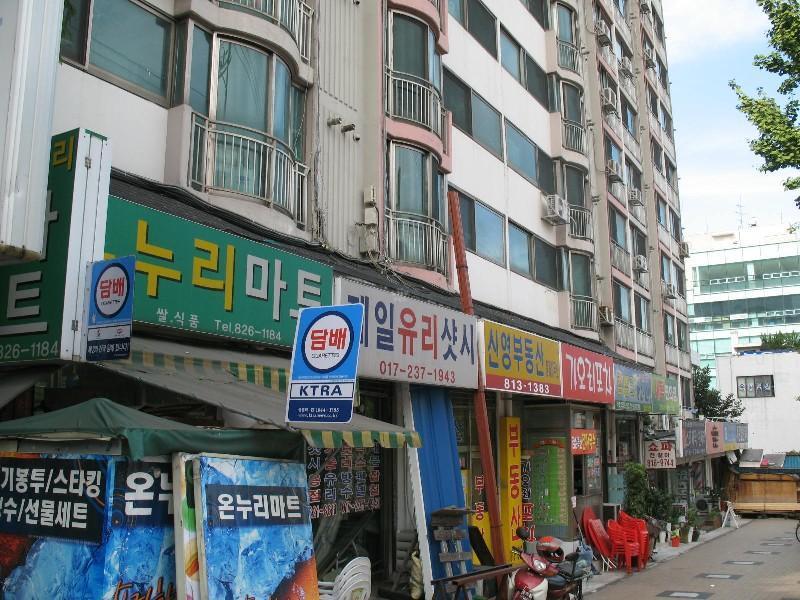 사진 181