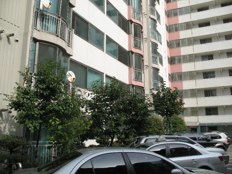 사진 175