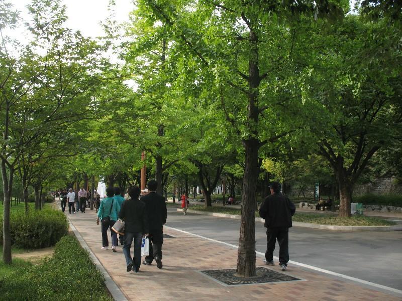 사진 314
