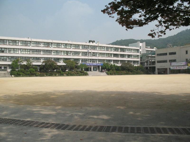 사진 177