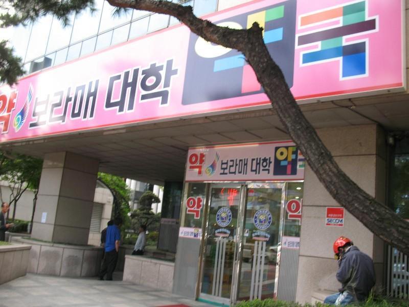 사진 311