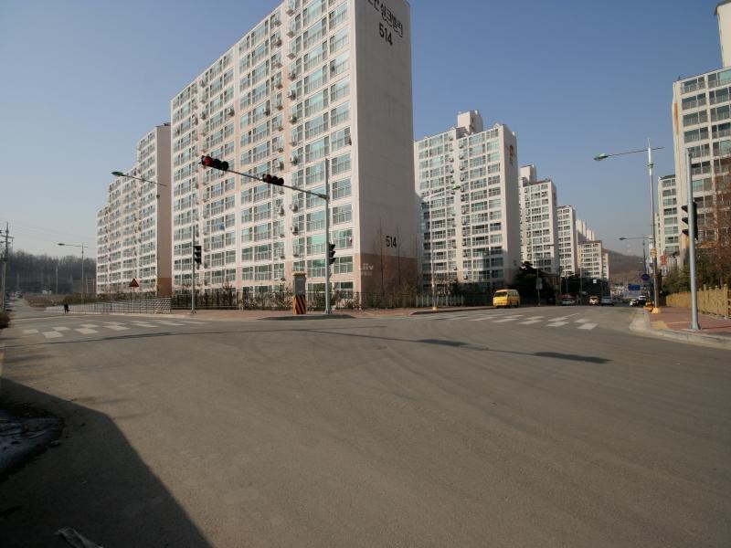 단지남쪽도로전경