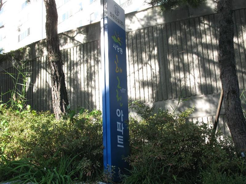 사진 425