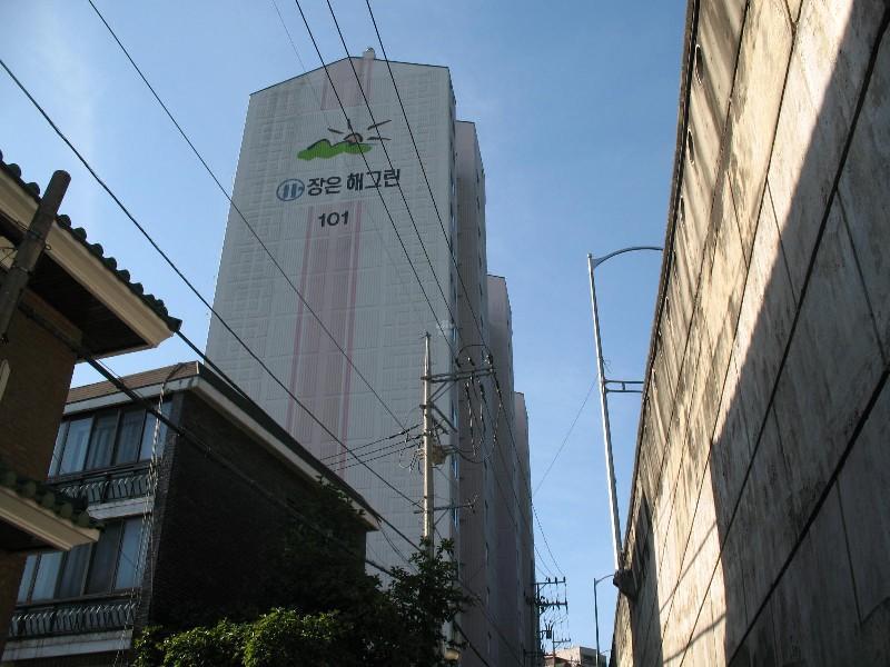 사진 423