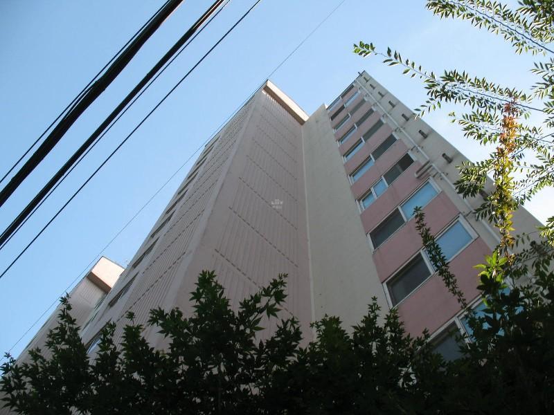 사진 427