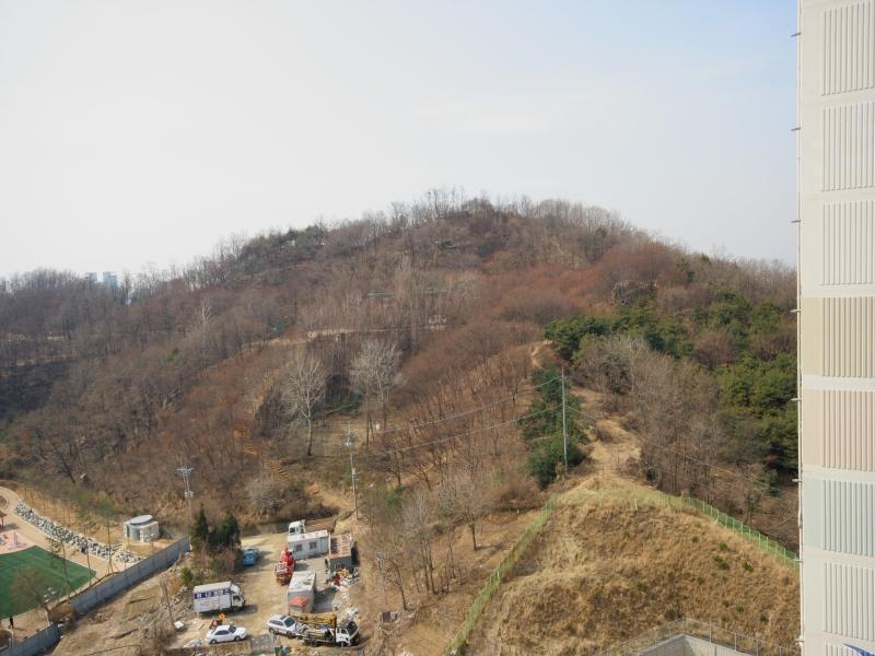 상도근린공원1
