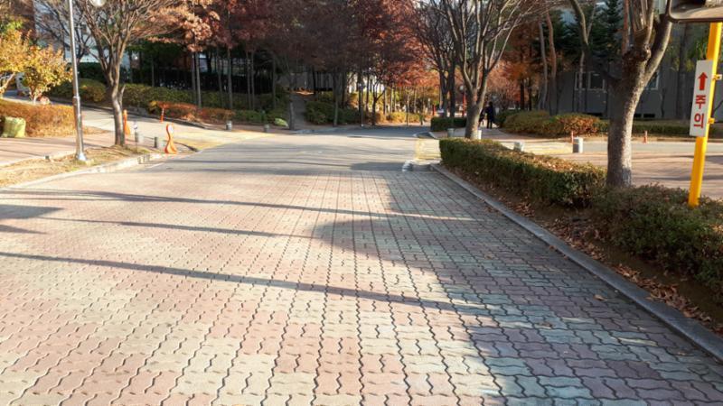 단지 내 보행로 및 산책로예요
