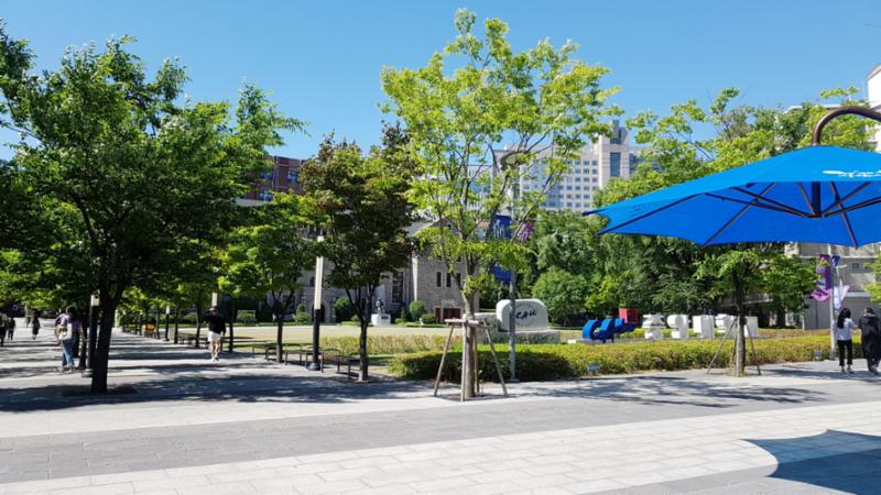 성원아파트 인근에 있는 대학교 입니다
