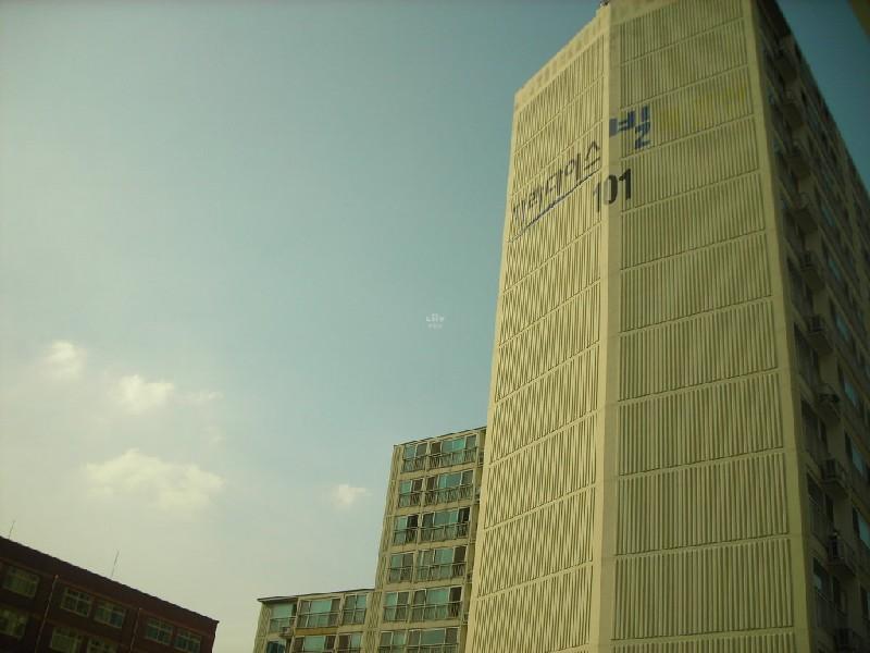 DSCN4242