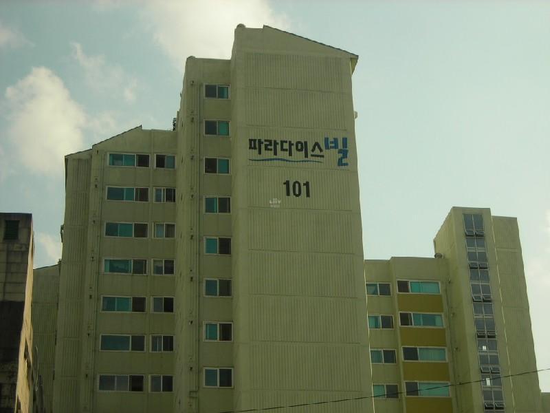 DSCN4233