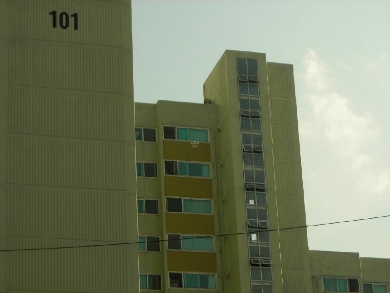 DSCN4236