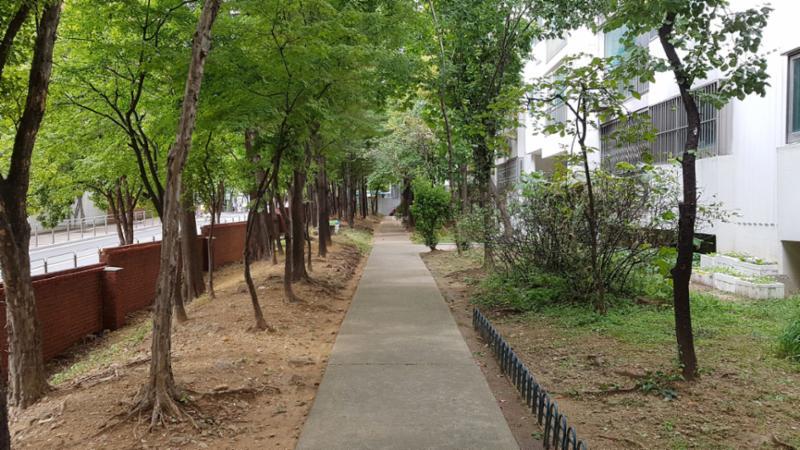 대방주공2단지 내 산책로에요