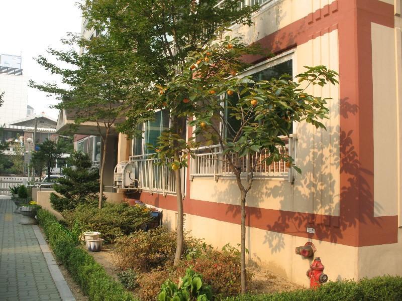 사진 762