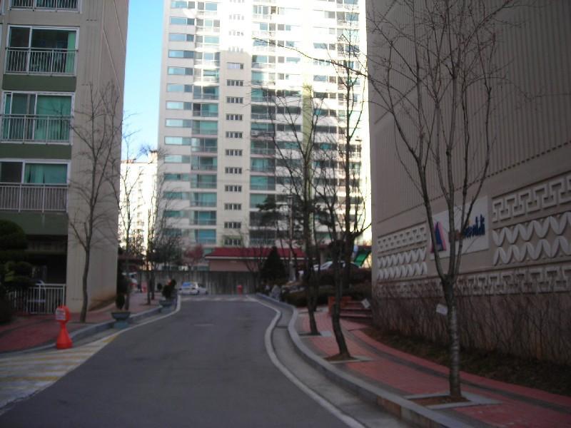 DSCN8633