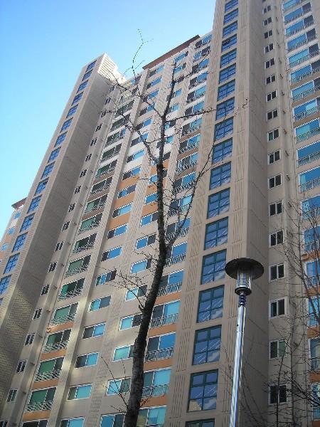 DSCN8641