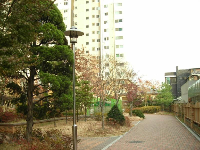 DSCN6823