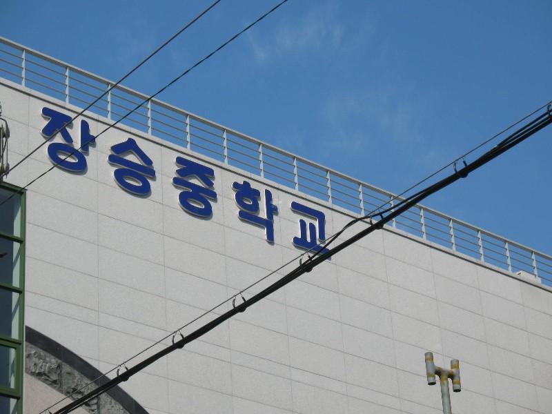 사진 306