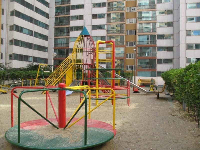 사진 291