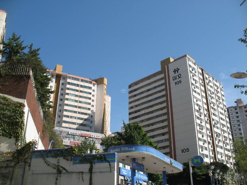 사진 290