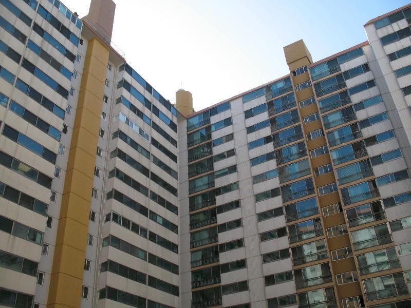 사진 293