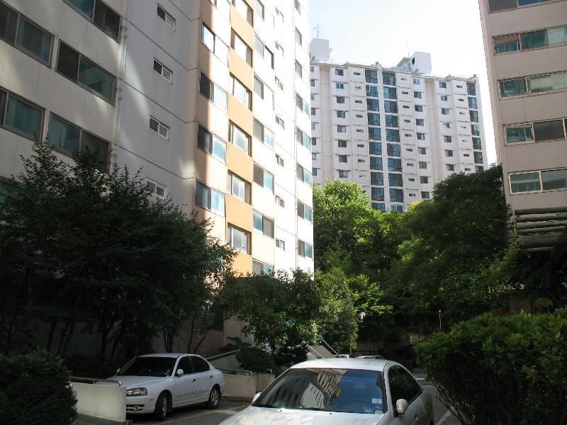 사진 295